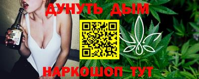 прущие крисы Новозыбков