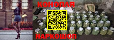 прущие крисы Новозыбков